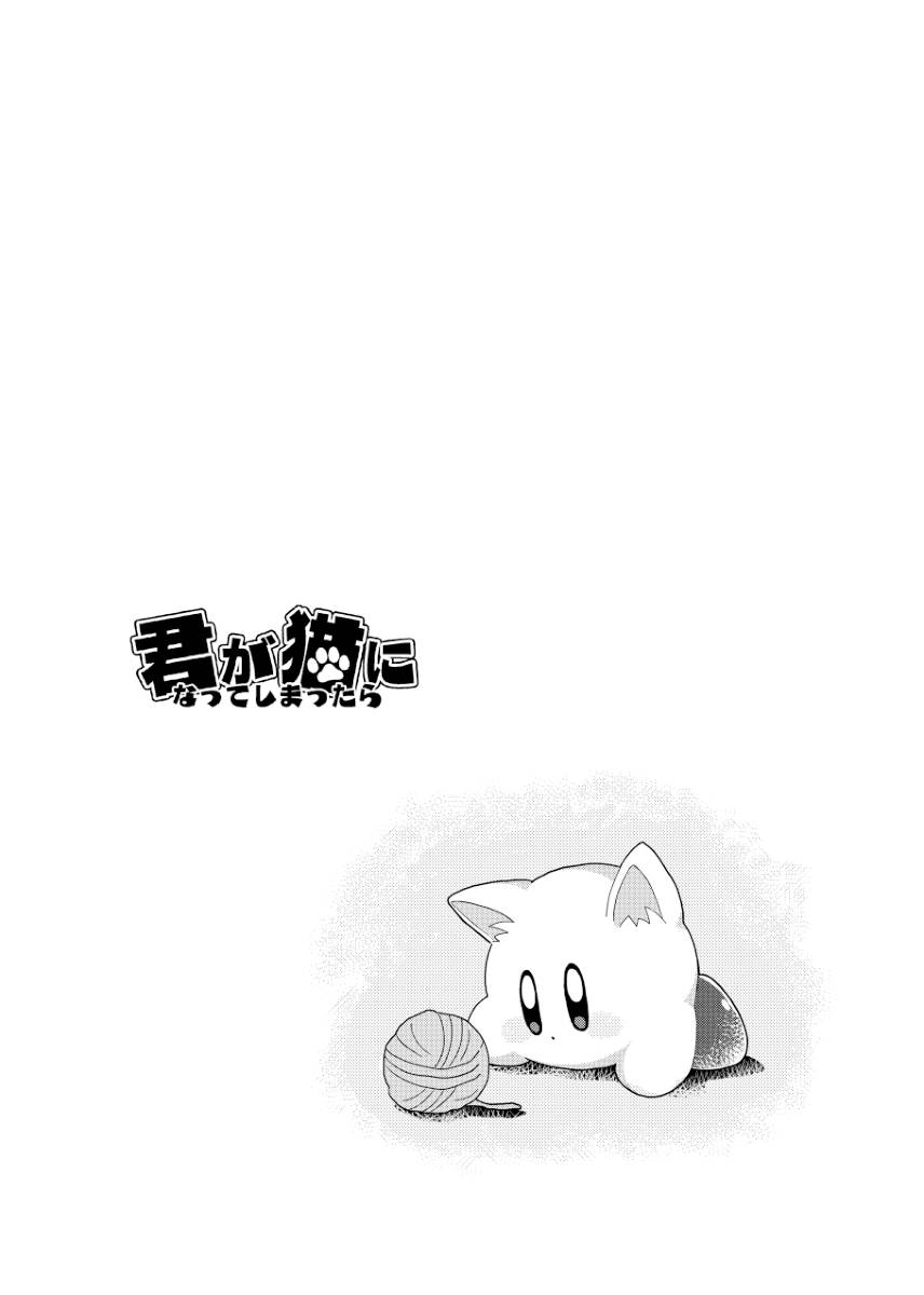 Mishiki If you turned into a cat Kirby of the Stars - Image 7