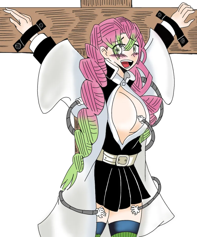 my Mitsuri Kanroji collection - Image 5