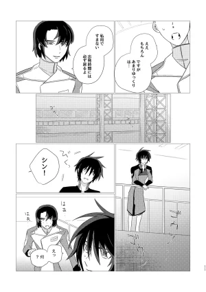 いぶし貧 namaGX あとのまつりに来るあした Gundam Seed Destiny Digital - Page 11