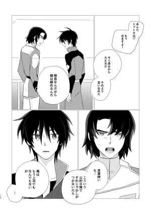 いぶし貧 namaGX あとのまつりに来るあした Gundam Seed Destiny Digital - Page 12