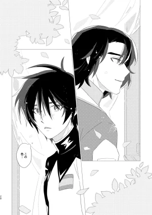 いぶし貧 namaGX あとのまつりに来るあした Gundam Seed Destiny Digital - Page 26