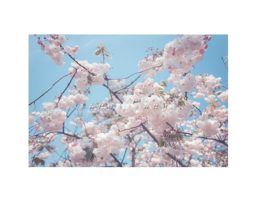 Natsume0v0 - 推特 - Image 76