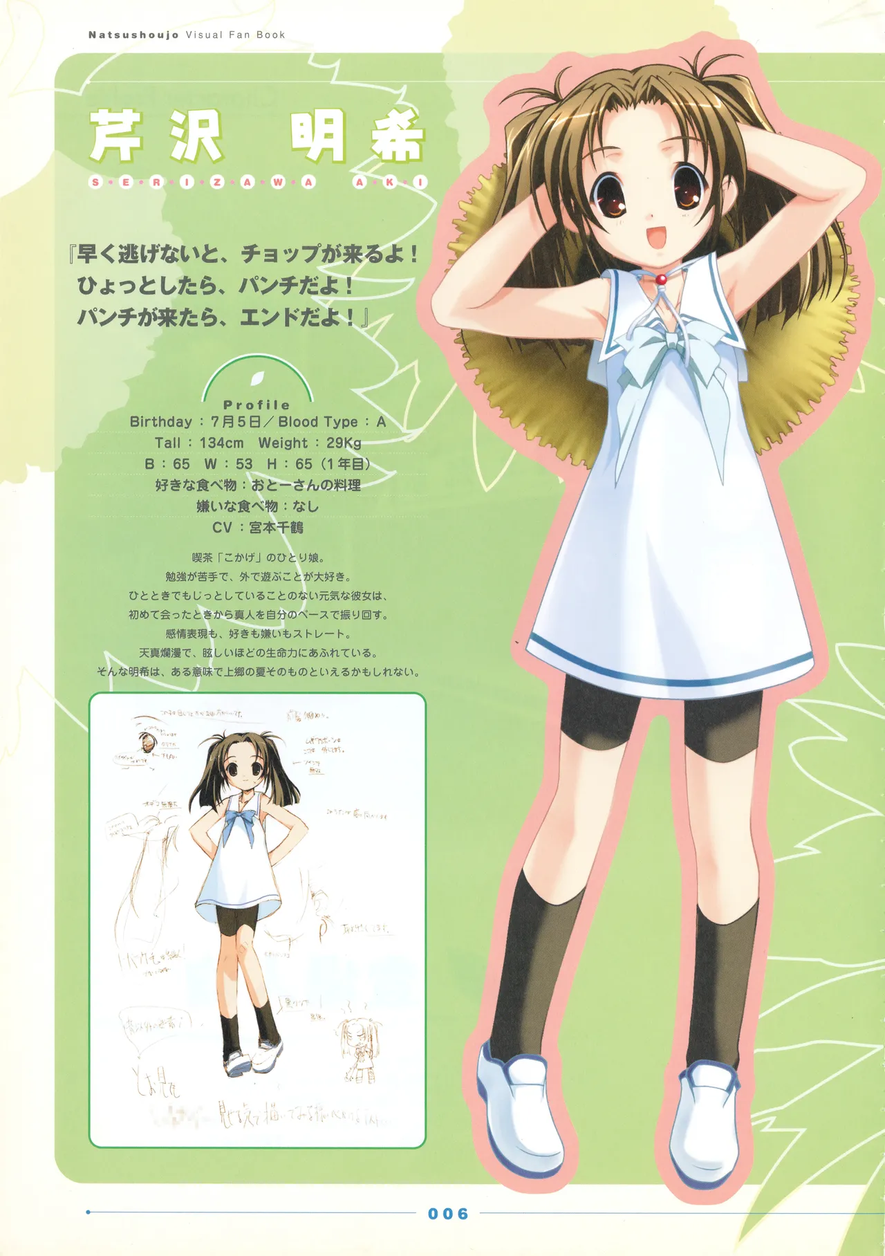 Natushoujo Visual Fanbook - Image 11