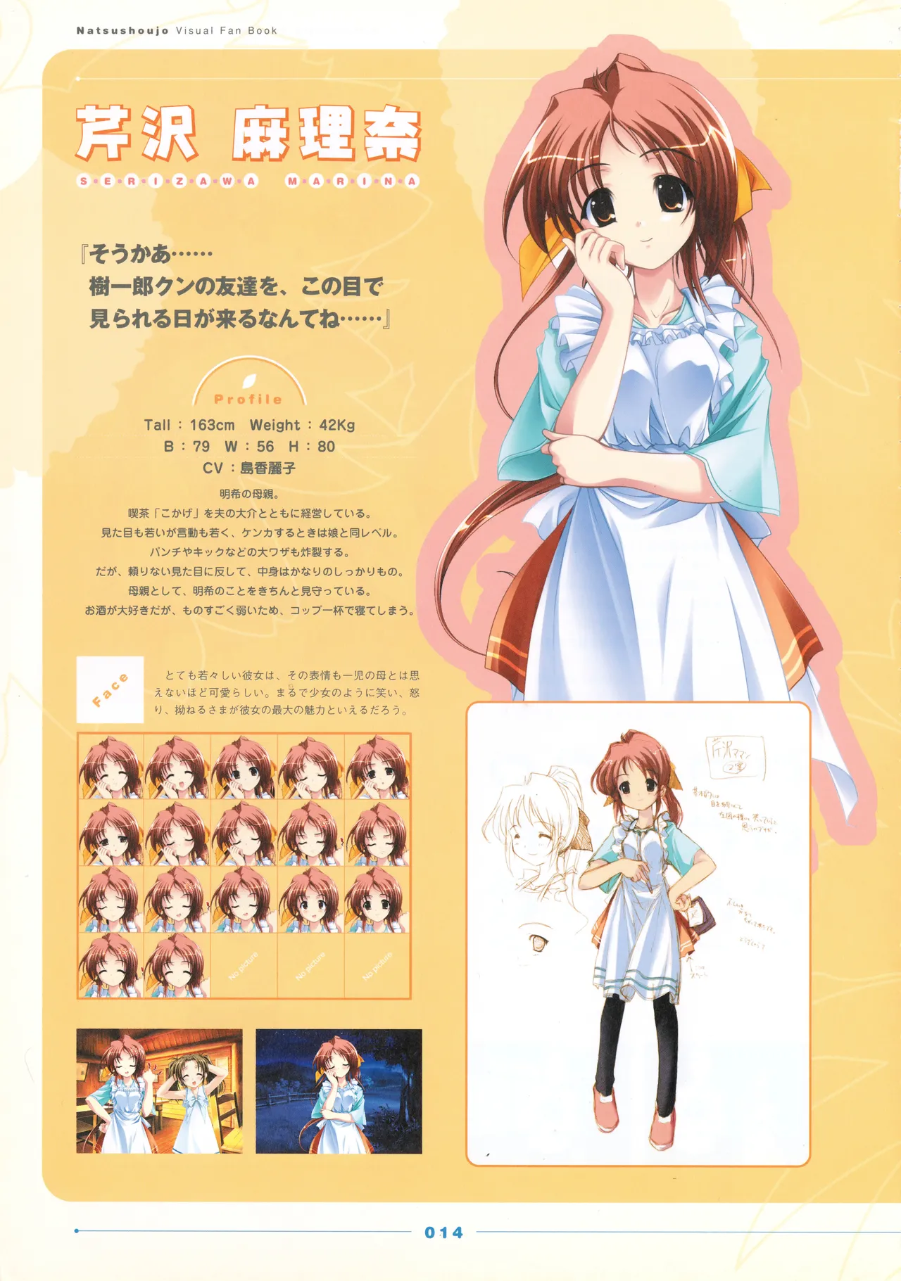 Natushoujo Visual Fanbook - Image 19