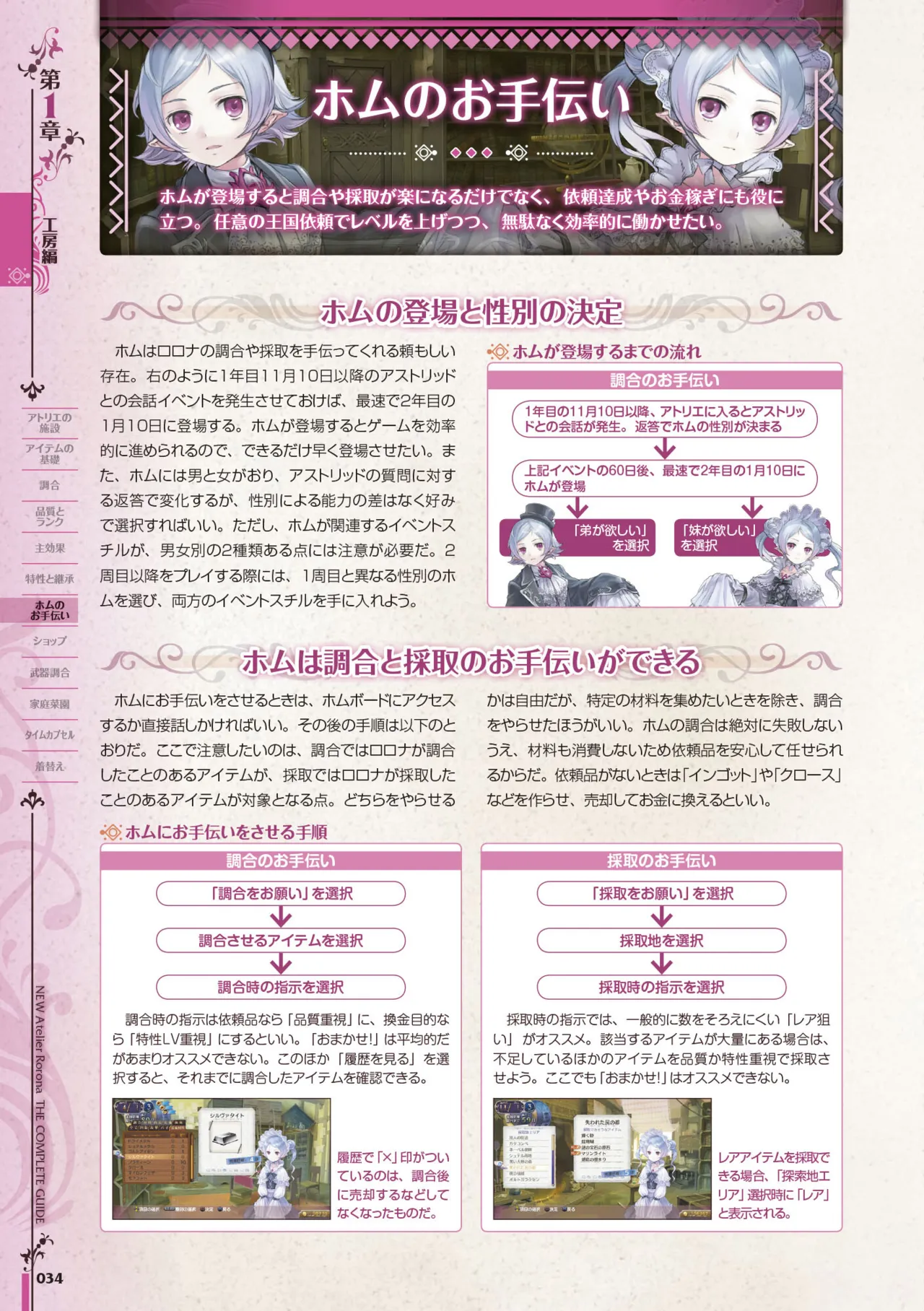 new Atelier Rorona The Beginning Story - The Alchemist of Arland Complete Guide - Image 35