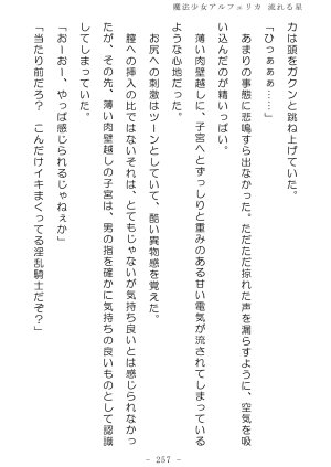 No Future Hashine Ranki, Ariuo Mahou Shoujo Alferica Nagareru Hoshi - Page 256