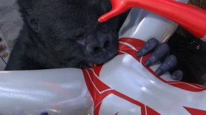 Nook 天倾末路 00-01 - Page 31