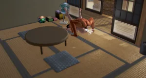 NSN Studio PixivTwitter Collection - Page 553