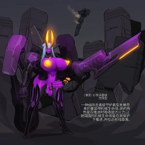 Omega_Processor-翻译 - Page 11