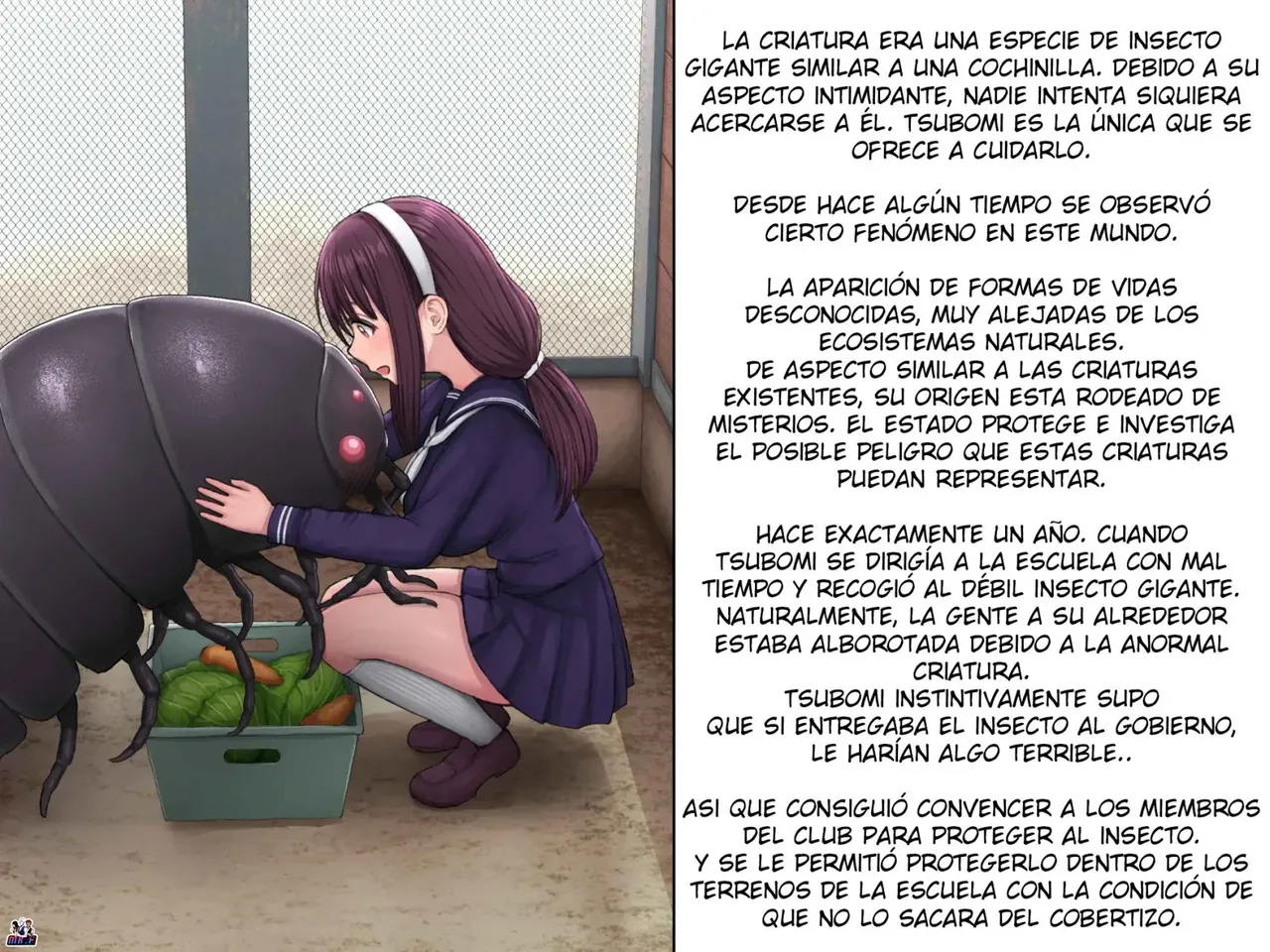 Oshinoso A Girl Falls in Love With a Giant Insect - Image 4