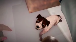 p22020Behind The SceneAyaka.Diary - Page 7