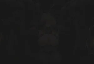 Patreon Holo Teyvat Super Idol Lumine English Uncensored - Page 101