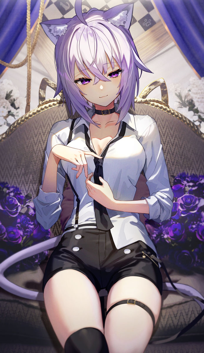 Pixiv スコッティ 103410 2026.06.06 - Image 252