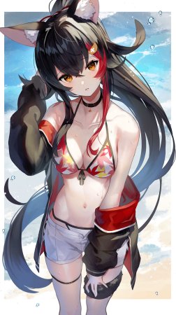 Pixiv スコッティ 103410 2026.06.06 - Page 256