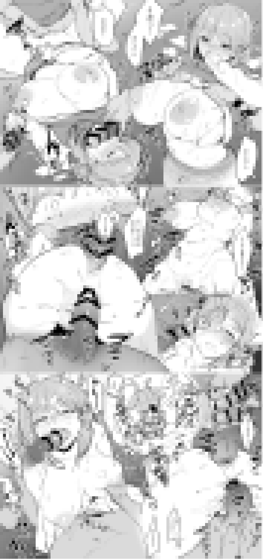 Pixiv ぽりうれたん 19417472 2026.04.15 - Image 661