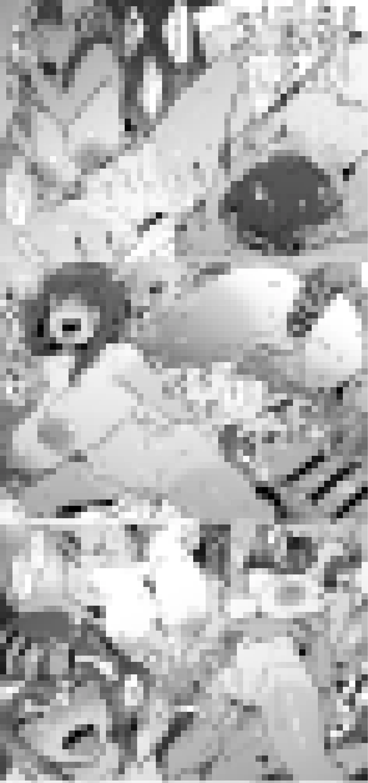 Pixiv ぽりうれたん 19417472 2026.04.15 - Image 680