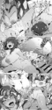 Pixiv ぽりうれたん 19417472 2026.04.15 - Page 680