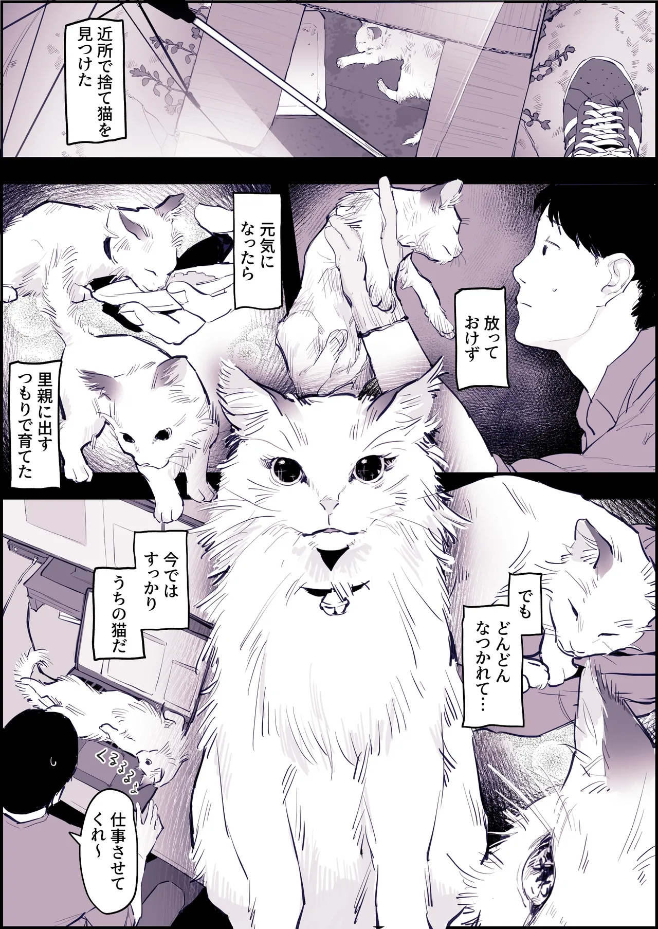 Pixiv ぽりうれたん 19417472 2026.06.15 - Image 502