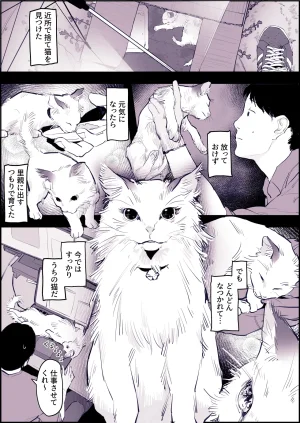 Pixiv ぽりうれたん 19417472 2026.06.15 - Page 502