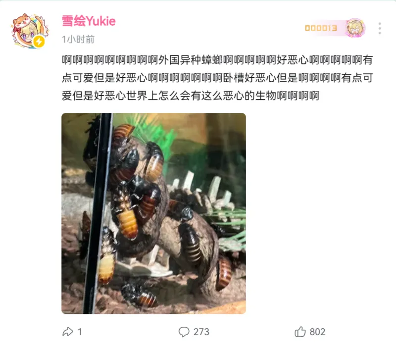 Pixiv 槲蓏檗ଭୟ୧ 3 72182574 - Image 389