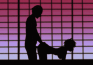 Pixiv コソコソ丸 30446632 - Page 234