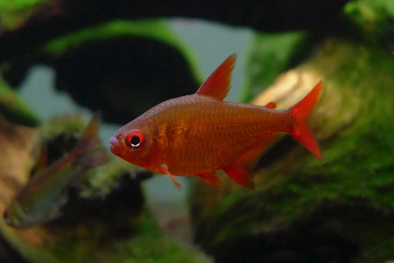 Pixiv 很氵的浩同学 70578993 - Image 386