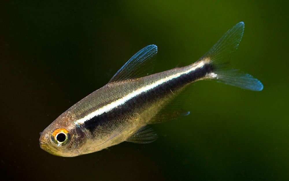 Pixiv 很氵的浩同学 70578993 - Image 388