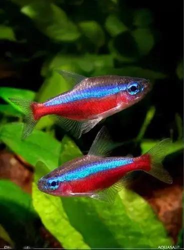 Pixiv 很氵的浩同学 70578993 - Image 390