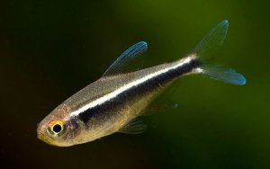 Pixiv 很氵的浩同学 70578993 - Page 388