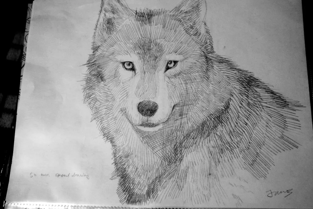 Pixiv Hood 15408136 2026.02.04 - Image 729