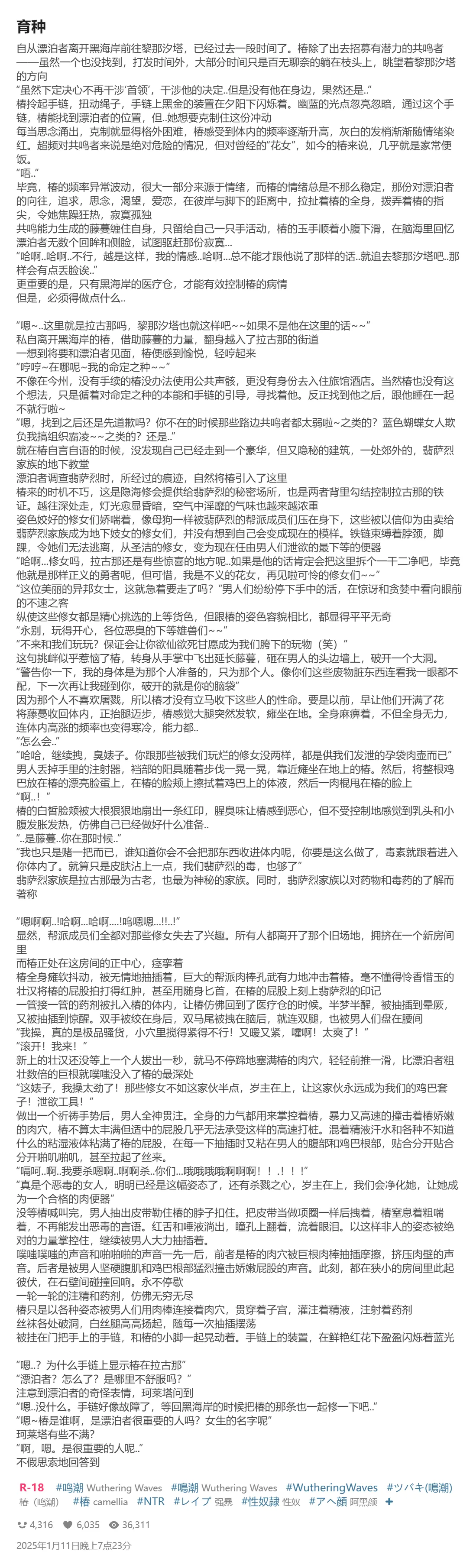 Pixiv HVVT 67227995 Chinese - Image 97