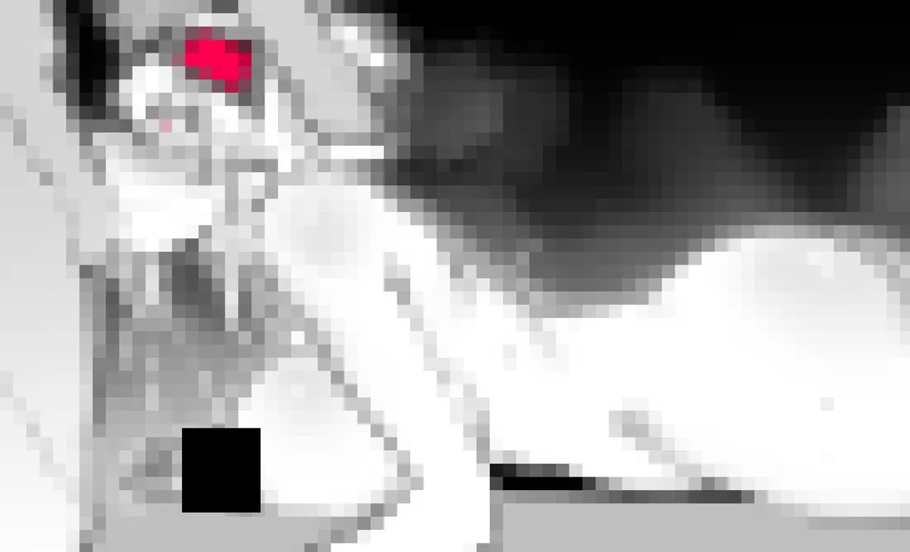 Pixiv NiwaRhythm 27416724 Part 2 - Image 168