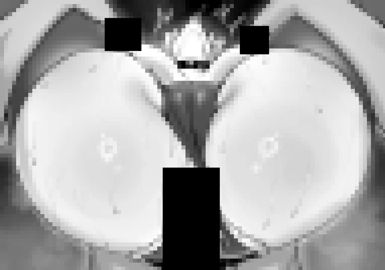 Pixiv NiwaRhythm 27416724 Part 2 - Image 459