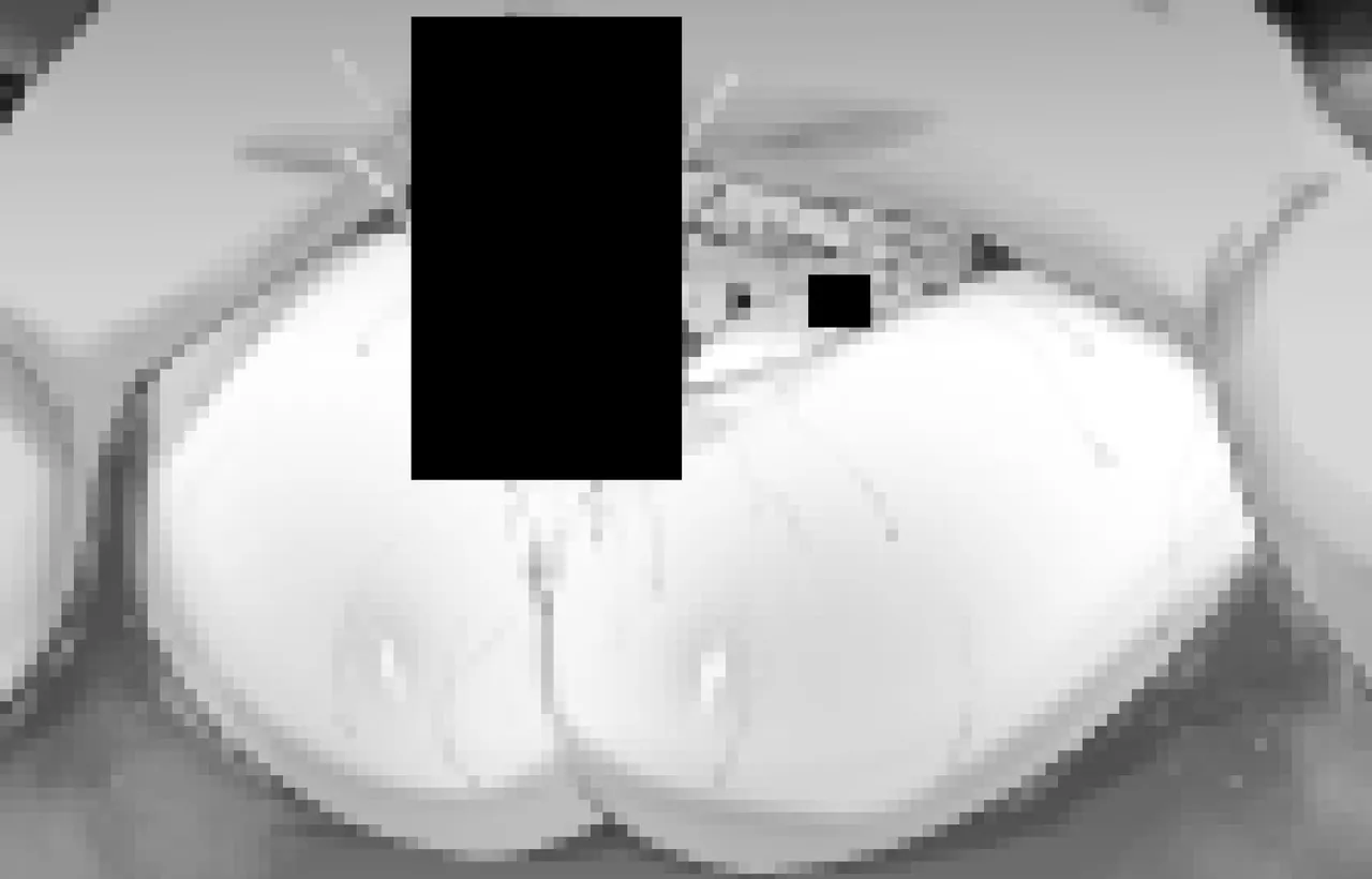 Pixiv NiwaRhythm 27416724 Part 2 - Image 479