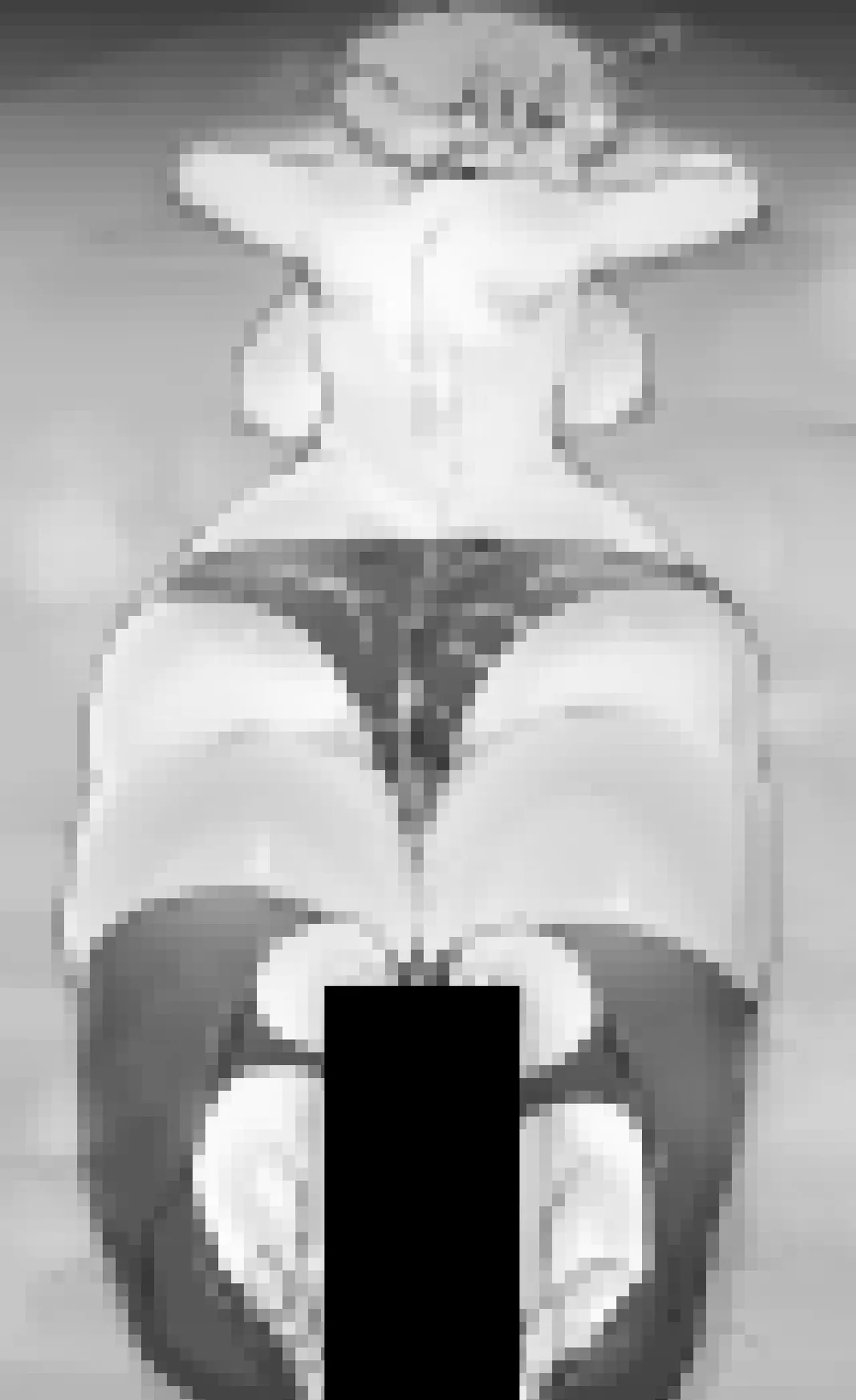 Pixiv NiwaRhythm 27416724 Part 2 - Image 72