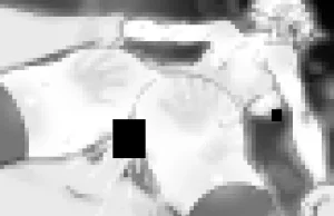 Pixiv NiwaRhythm 27416724 Part 2 - Page 14