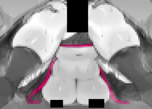 Pixiv NiwaRhythm 27416724 Part 2 - Page 411