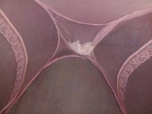 Pixiv 粉红黏黏怪ririko 108211955 2026.04.18 - Page 648