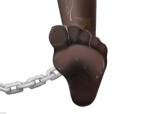 Pixiv z282g 40586474 2026.03.20 - Page 329