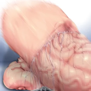 Piyokorota Kai Takkyo-ku Chousa Nisshi 2 Kouhen Portuguese-BR - Page 70