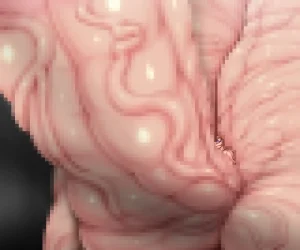 Piyokorota Kai Takkyo-ku Chousa Nisshi 2 Kouhen Portuguese-BR - Page 90