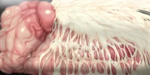 Piyokorota Kai Takkyo-ku Chousa Nisshi 2 Kouhen Portuguese-BR - Page 97