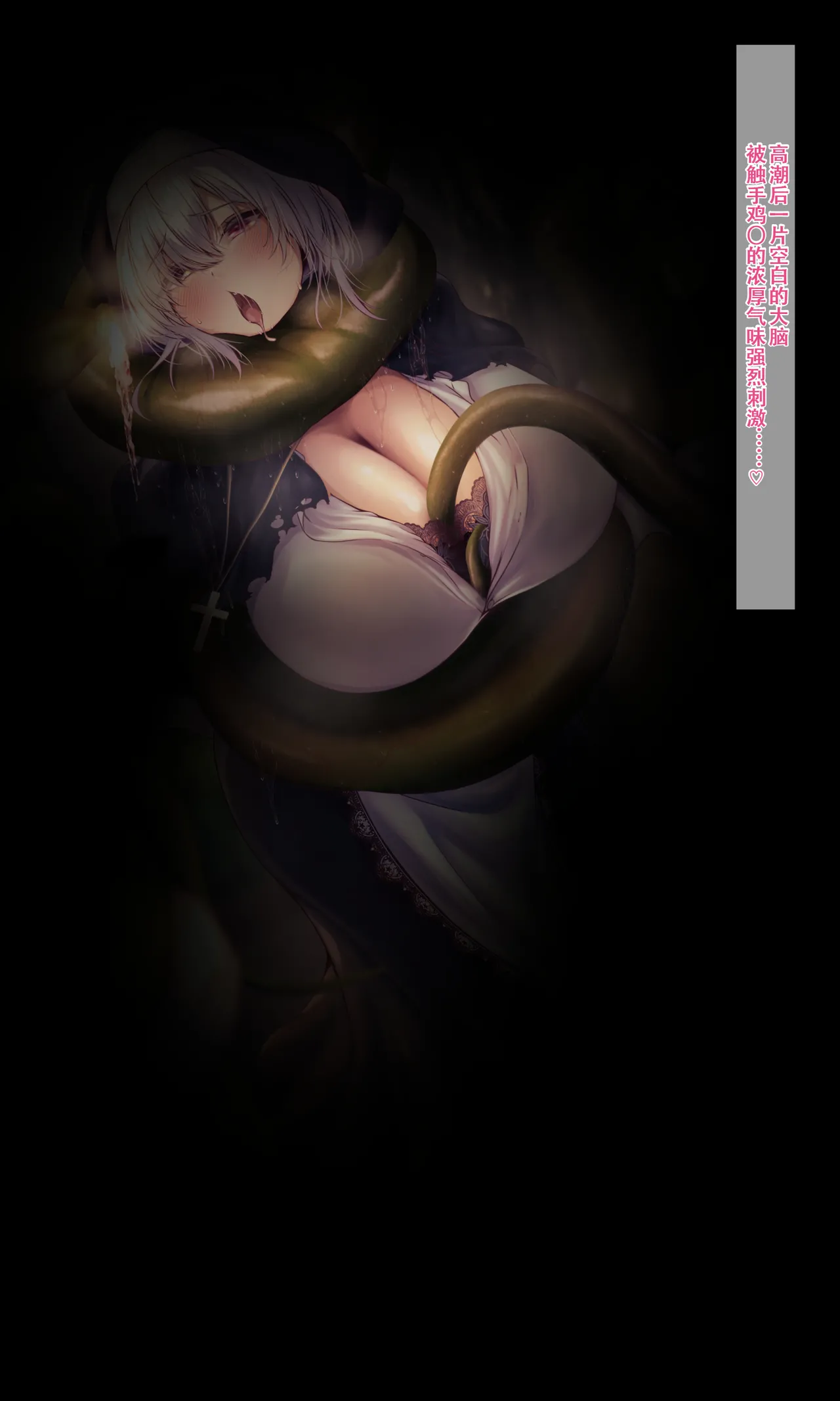 QR Sister no Watashi ga Dekachichi de OchirumadeChinese - Image 13