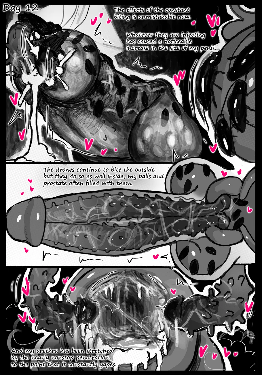 Qusia Observation Continues... in progress - Image 8
