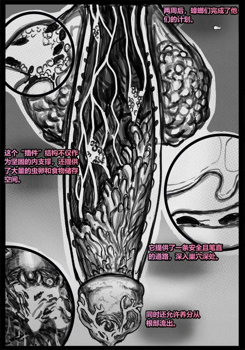 Qusia 请让鸡鸡远离虫子重口虫子慎入Please keep your penis away from bugs - Image 110