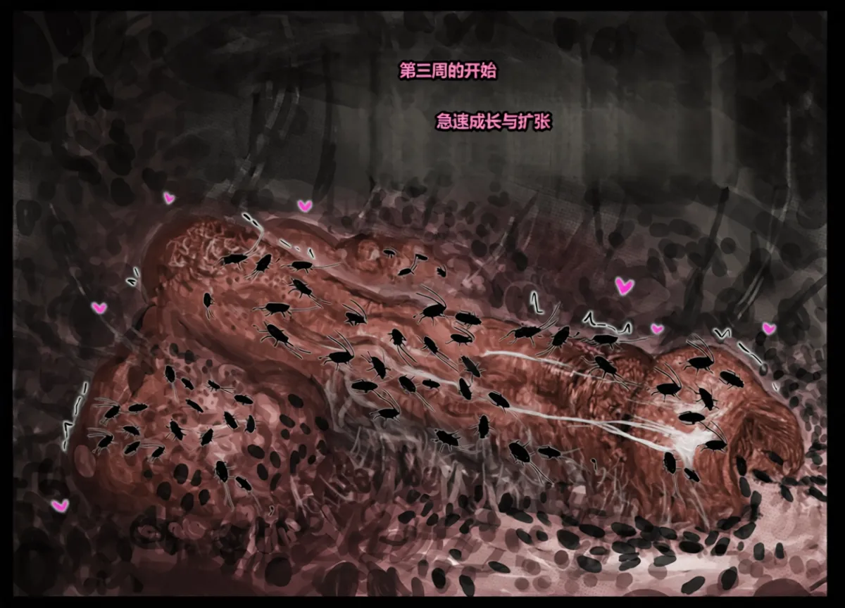 Qusia 请让鸡鸡远离虫子重口虫子慎入Please keep your penis away from bugs - Image 43