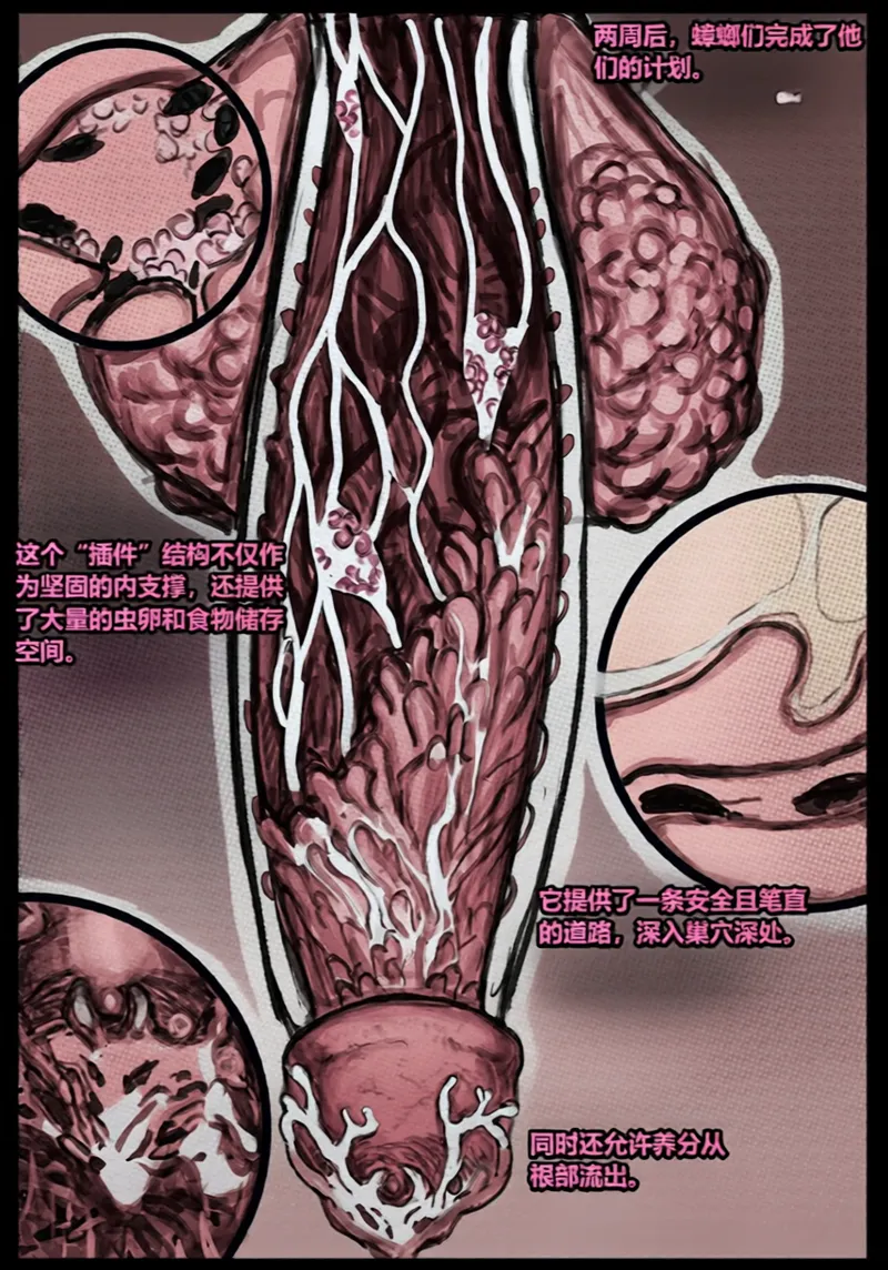 Qusia 请让鸡鸡远离虫子重口虫子慎入Please keep your penis away from bugs - Image 54