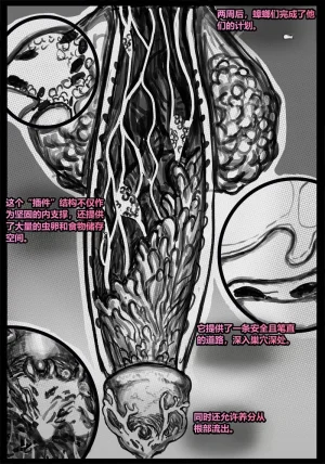 Qusia 请让鸡鸡远离虫子重口虫子慎入Please keep your penis away from bugs - Page 110