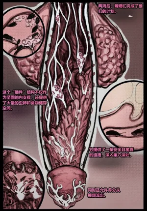 Qusia 请让鸡鸡远离虫子重口虫子慎入Please keep your penis away from bugs - Page 54