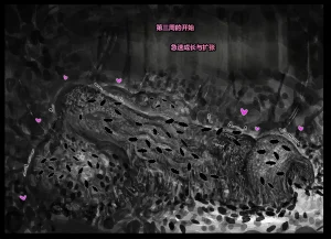 Qusia 请让鸡鸡远离虫子重口虫子慎入Please keep your penis away from bugs - Page 98